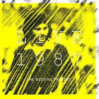 What Did Your Last Servant Die Of - The Wedding Present