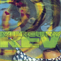 Chasing A Bee - Mercury Rev