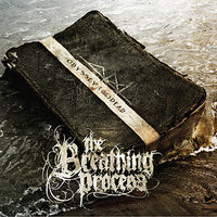 Decaying (Form) - The Breathing Process