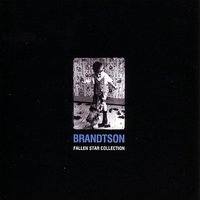 Shannon Said - Brandtson