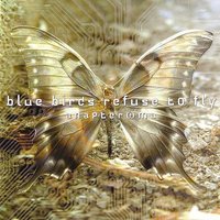 Blue Birds Refuse To Fly