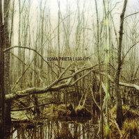Trilogy 2 "Planar Analysis" - Loma Prieta