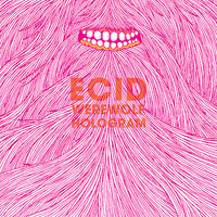 The Pursuit Of Everything In Between - Ecid