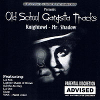 61909 - Mr. Shadow, Mr. Knightowl, Lighter Shade Of Brown
