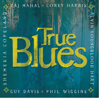 Hoochie Coochie Man - Guy Davis, Corey Harris, Alvin Youngblood Hart