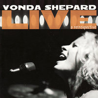Baby, Don't You Break My Heart Slow - Vonda Shepard