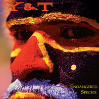 Sumthin 4 Nuth'n - Y&T