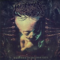 Annotations Of An Autopsy