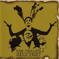 Conditional Love - Arrested Development