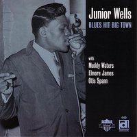 Hoodoo Man) - Elmore James, Muddy Waters, Otis Spann