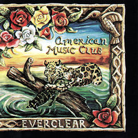 What The Pillar Of Salt Held Up - American Music Club, Mark Eitzel