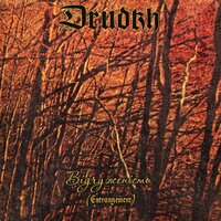 Solitary Endless Path (Самiтня нескiнченна тропа) - Drudkh