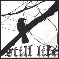 The Straydog Lullaby - Still Life