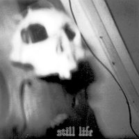 No One Is Free - Still Life