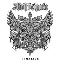 High Tech Degradation - Wolfbrigade