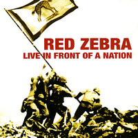 Don't Put Your Head In a Bucket - Red Zebra