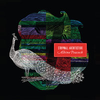 Peacock - Stripmall Architecture