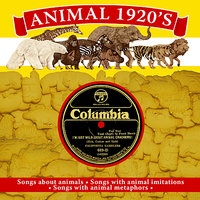 When the Red Red Robin Comes Bob Bob Bobbin' Along - Ben Selvin and His Orchestra