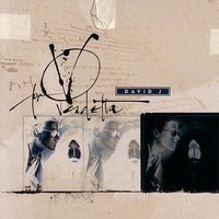 This Vicious Cabaret - David J, Kevin Haskins