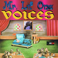Everyday We Grow - Mr. Lil One