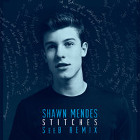Stitches - Shawn Mendes, Seeb