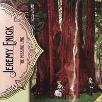 On The Wayside - Jeremy Enigk