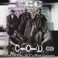 All Day Everyday - South Central Cartel