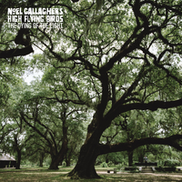 The Dying of the Light - Noel Gallagher's High Flying Birds