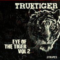 Big Love - True Tiger, Maiday
