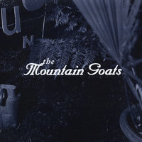Design Your Own Container Garden - The Mountain Goats