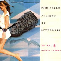 Messenger - Blonde Redhead, David Sylvian