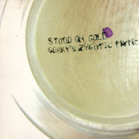 Stood On Gold - Gorky’s Zygotic Mynci