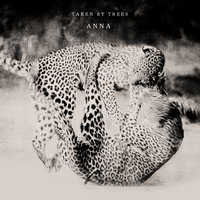 Annanass - Taken By Trees, Andreas Söderström