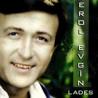 Bir Rüzgardır Gelir Geçer Sanmıştım - Erol Evgin