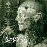 Coma Timecode - Deadborn