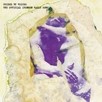 Why Did You Land? - Guided By Voices
