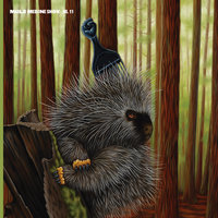 Sounds of the Studio (Prelude) - Madlib
