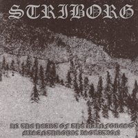 Out of the Fog She Appeared Dressed in Black - Striborg