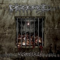 Boiling Vomit Through My Veins - Disgorge