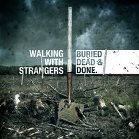 The Provider - Walking With Strangers