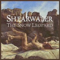 Henry Lee - Shearwater