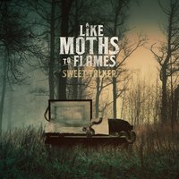 Dead Routine - Like Moths To Flames