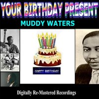 Nineteen Years Old - Muddy Waters