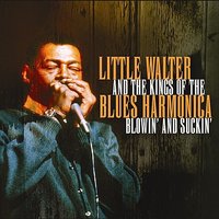 Boom, Boom Out Goes The Lights - Little Walter