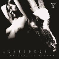 Fortune My Foe - Akercocke
