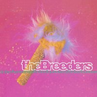 Do You Love Me Now Jr? - The Breeders, J Mascis