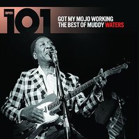 (I'm Your ) Hoochie Coochie Man - Muddy Waters