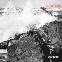 Cheatahs