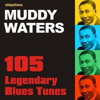 I 've Got My Mojo Working, Pt. 2 - Muddy Waters