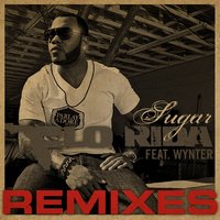 Sugar - Flo Rida, Wynter Gordon, Disco Fries